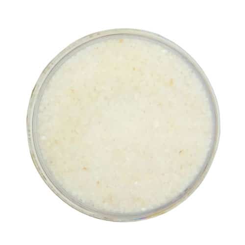 Margarita Salt Scrub